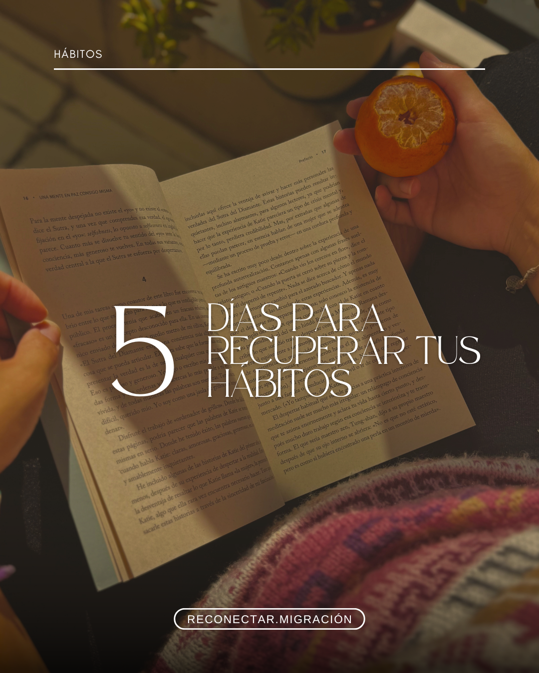 TIERRA Y RAÍZ 🌱 Hábitos conscientes.